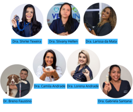 Dra-Shirlei-Texeira.png