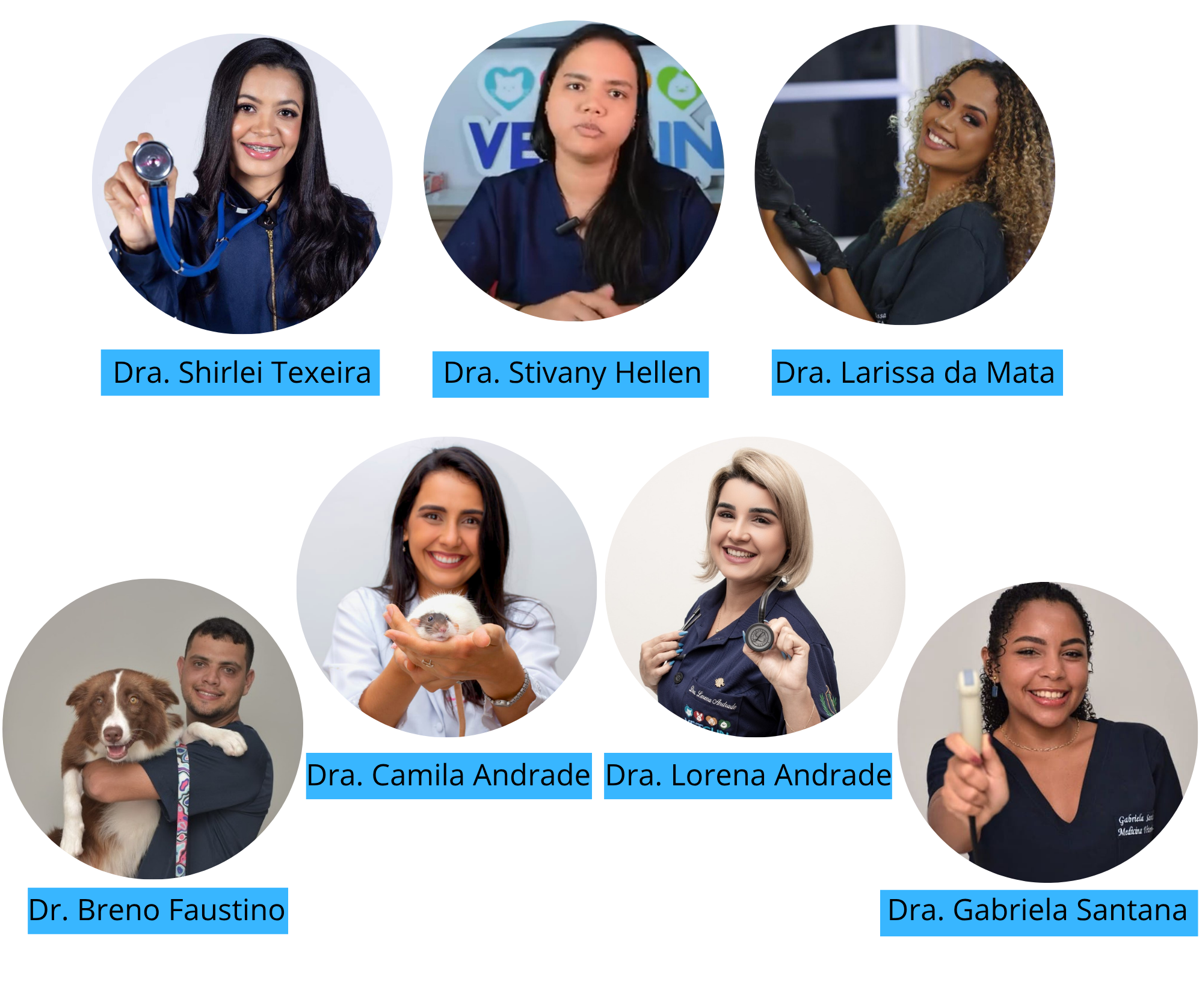 Dra-Shirlei-Texeira.png